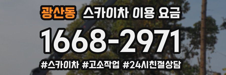 광산동 스카이차 이용 요금