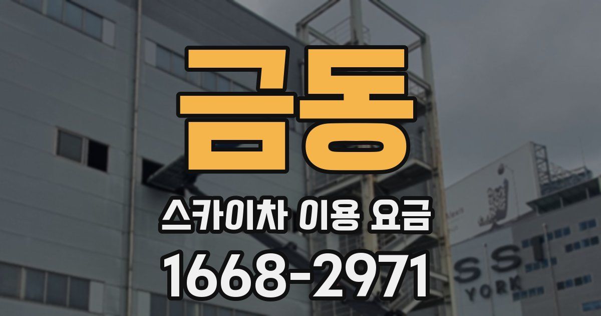 금동 스카이차 이용 요금