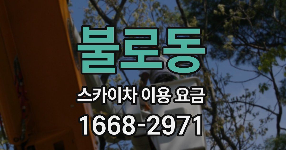 불로동 스카이차 이용 요금