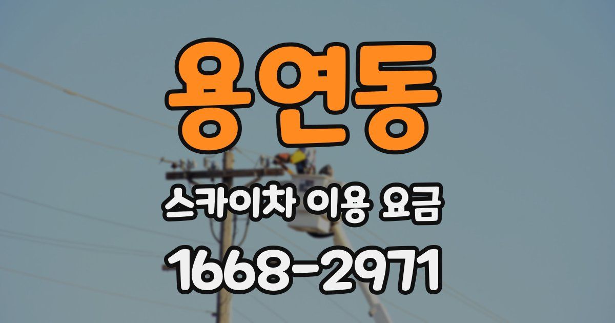 용연동 스카이차 이용 요금