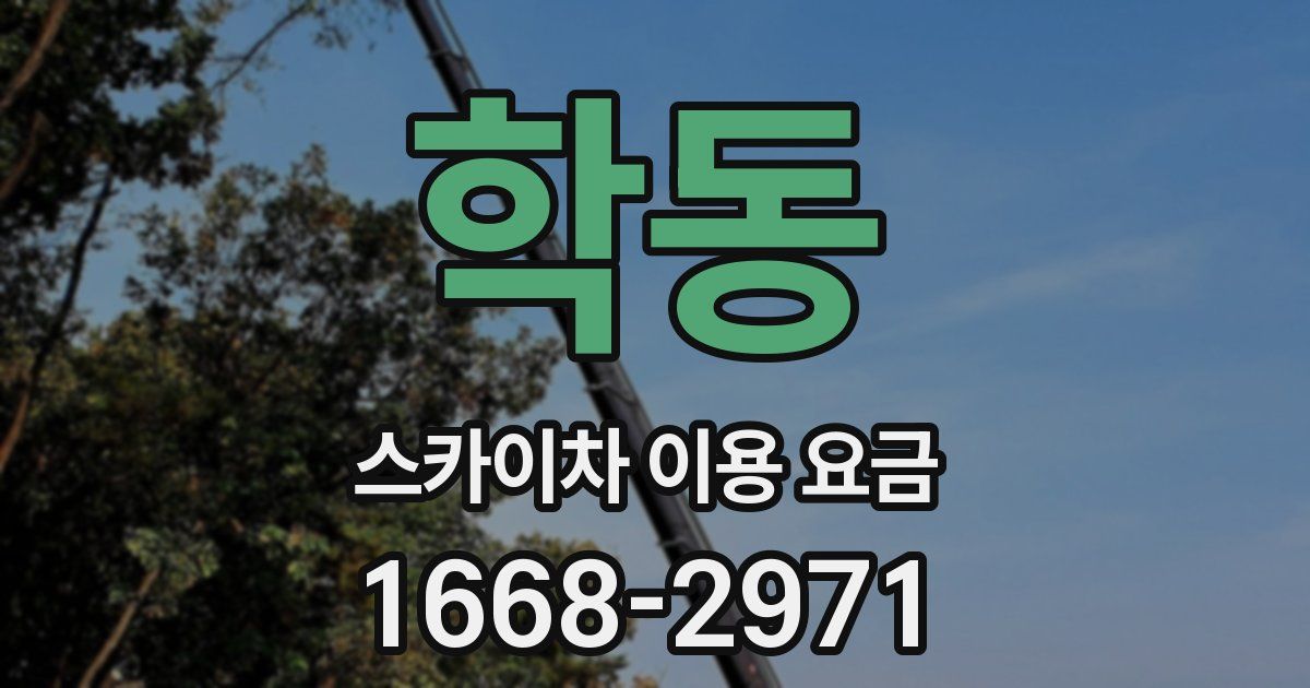 학동 스카이차 이용 요금
