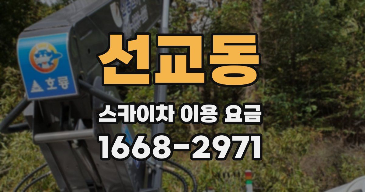 선교동 스카이차 이용 요금