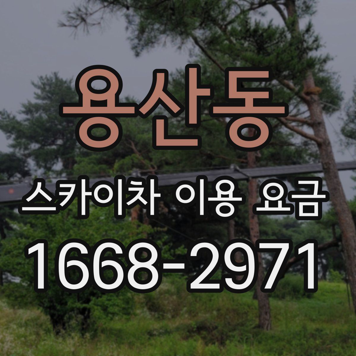 용산동 스카이차 이용 요금