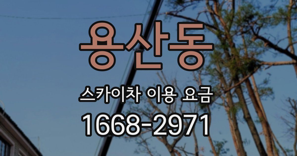 용산동 스카이차 이용 요금