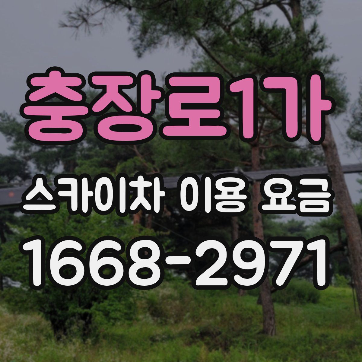충장로1가 스카이차 이용 요금