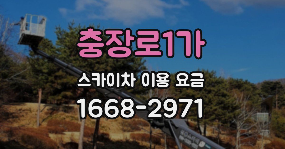 충장로1가 스카이차 이용 요금