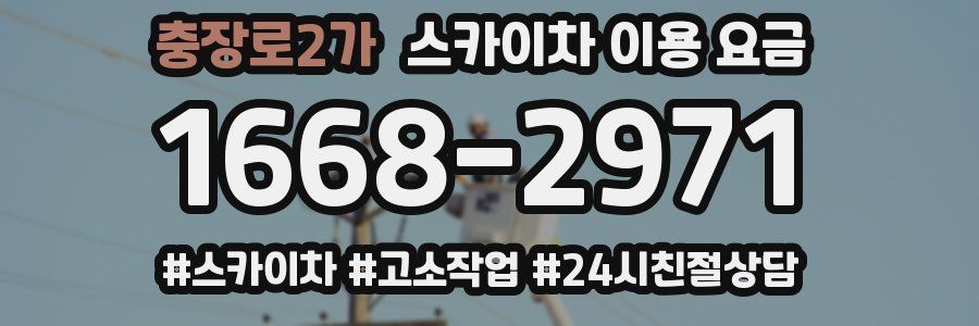 충장로2가 스카이차 이용 요금