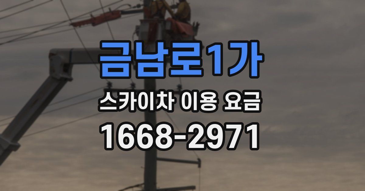 금남로1가 스카이차 이용 요금