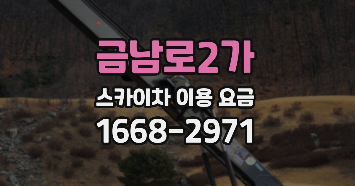 금남로2가 스카이차 이용 요금
