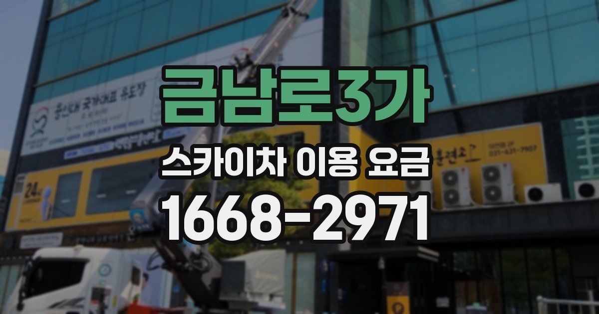 금남로3가 스카이차 이용 요금