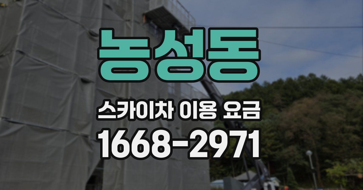 농성동 스카이차 이용 요금