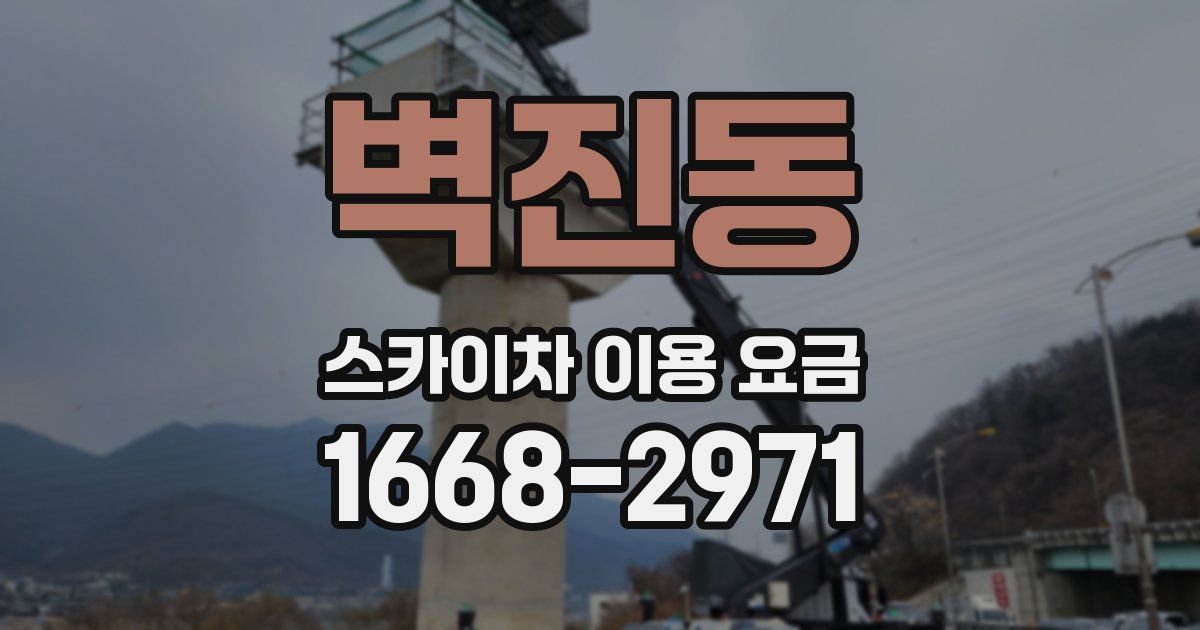 벽진동 스카이차 이용 요금