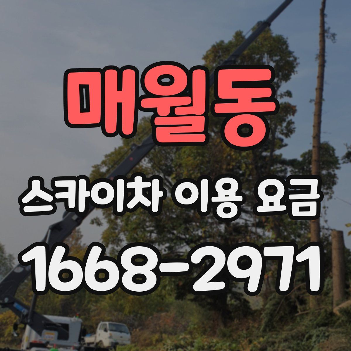 매월동 스카이차 이용 요금