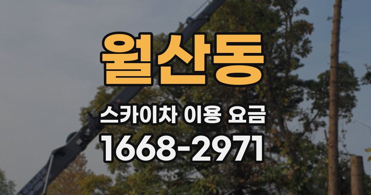 월산동 스카이차 이용 요금