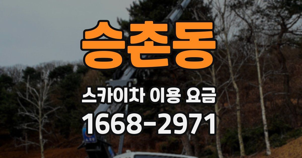 승촌동 스카이차 이용 요금