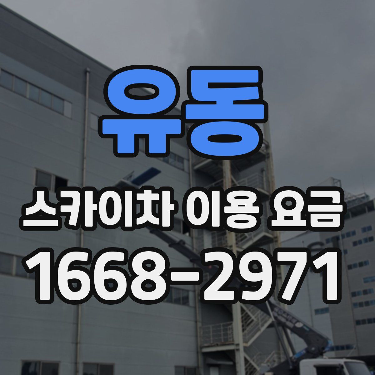 유동 스카이차 이용 요금
