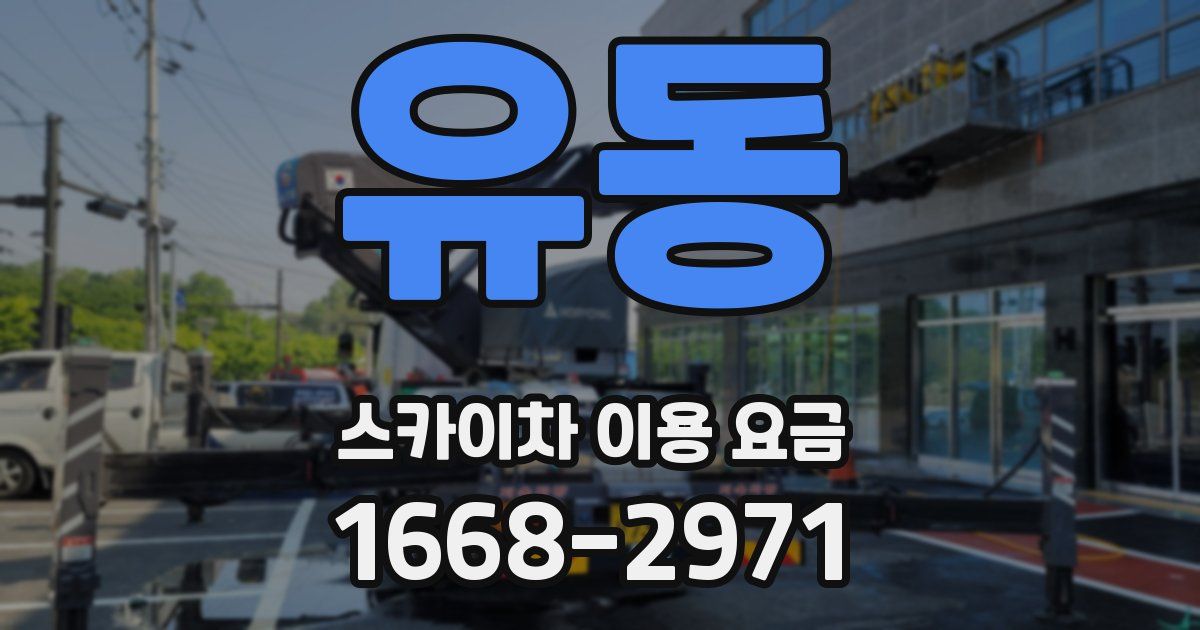 유동 스카이차 이용 요금