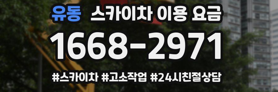 유동 스카이차 이용 요금