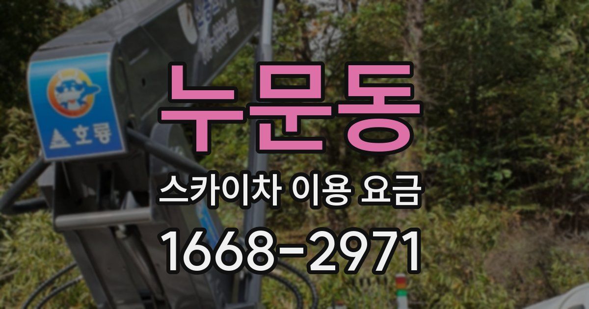 누문동 스카이차 이용 요금