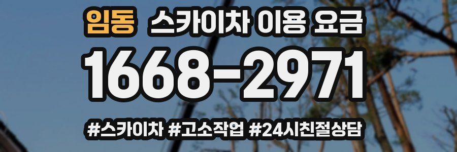 임동 스카이차 이용 요금