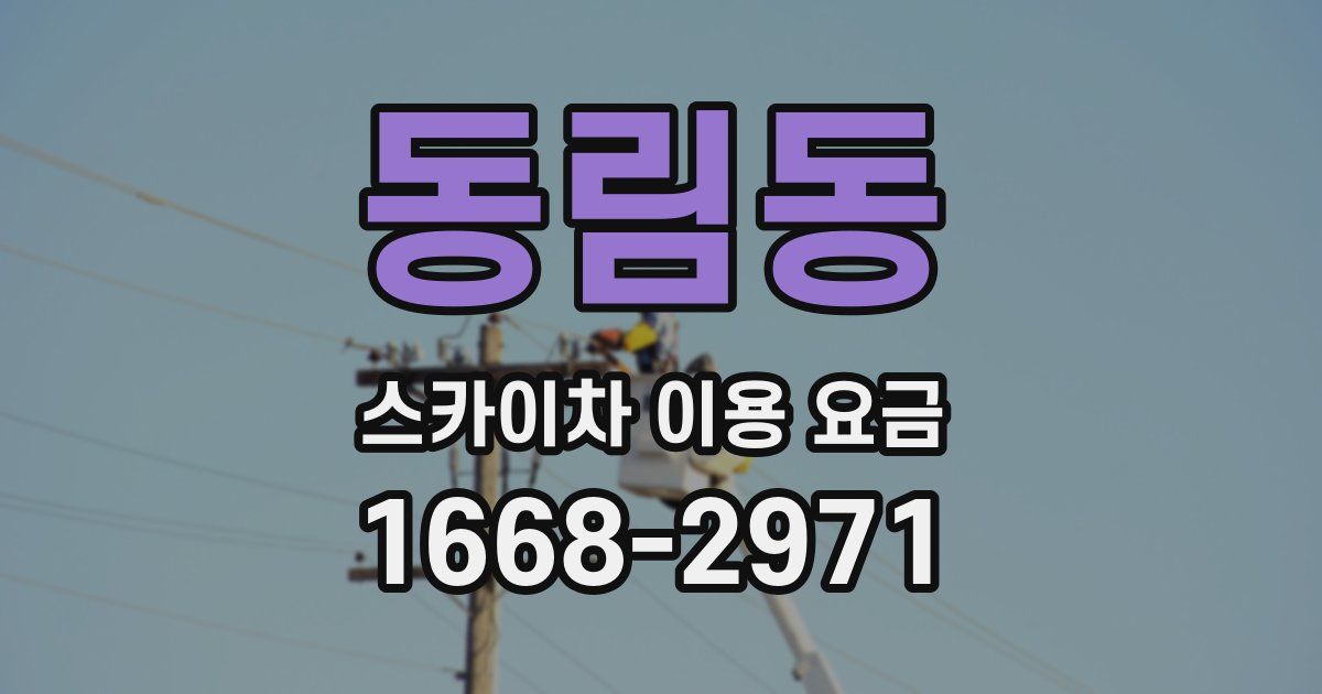 동림동 스카이차 이용 요금