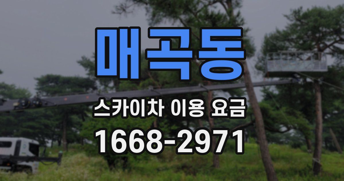 매곡동 스카이차 이용 요금