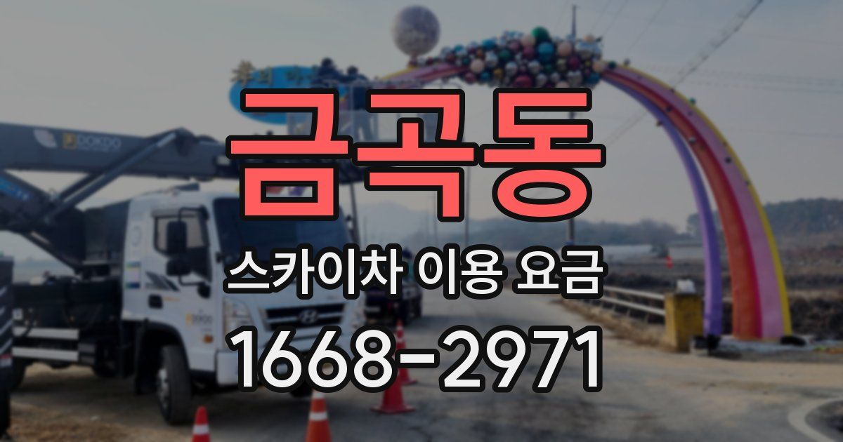 금곡동 스카이차 이용 요금