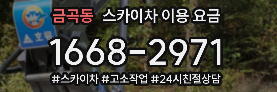 금곡동 스카이차 이용 요금