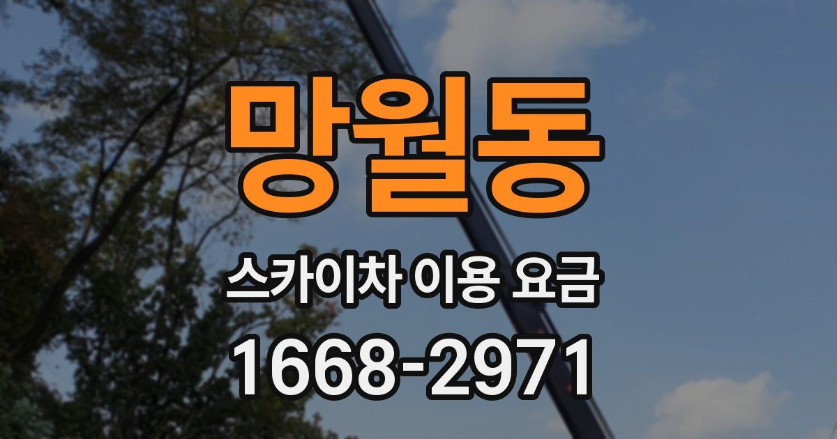 망월동 스카이차 이용 요금