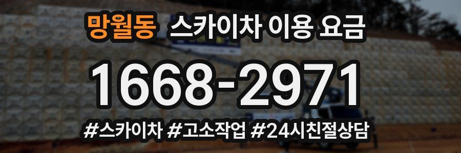 망월동 스카이차 이용 요금