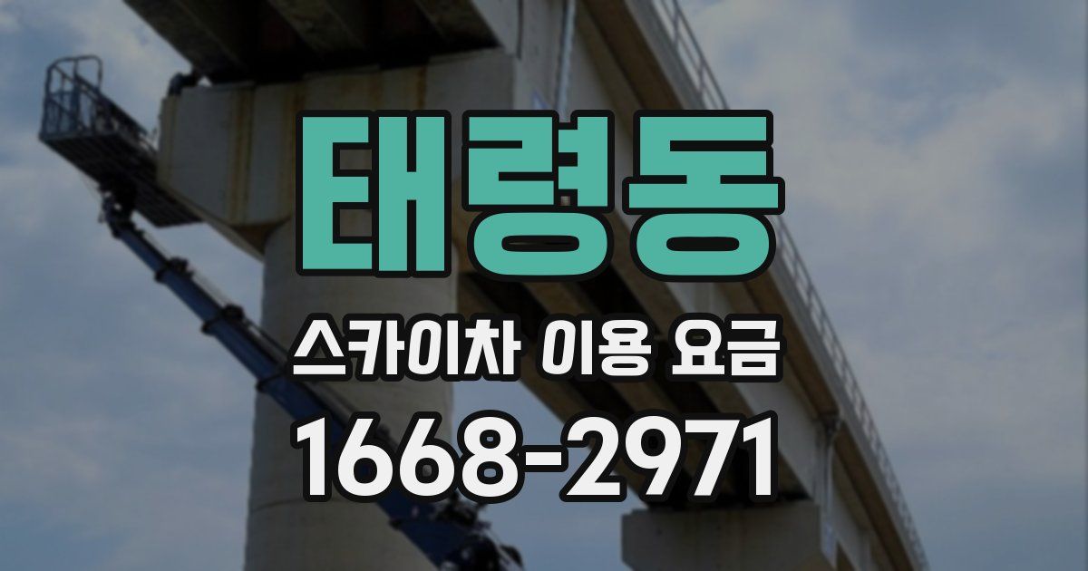 태령동 스카이차 이용 요금