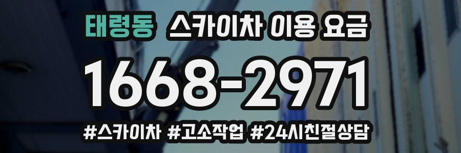 태령동 스카이차 이용 요금