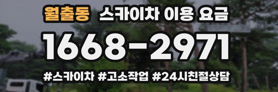 월출동 스카이차 이용 요금