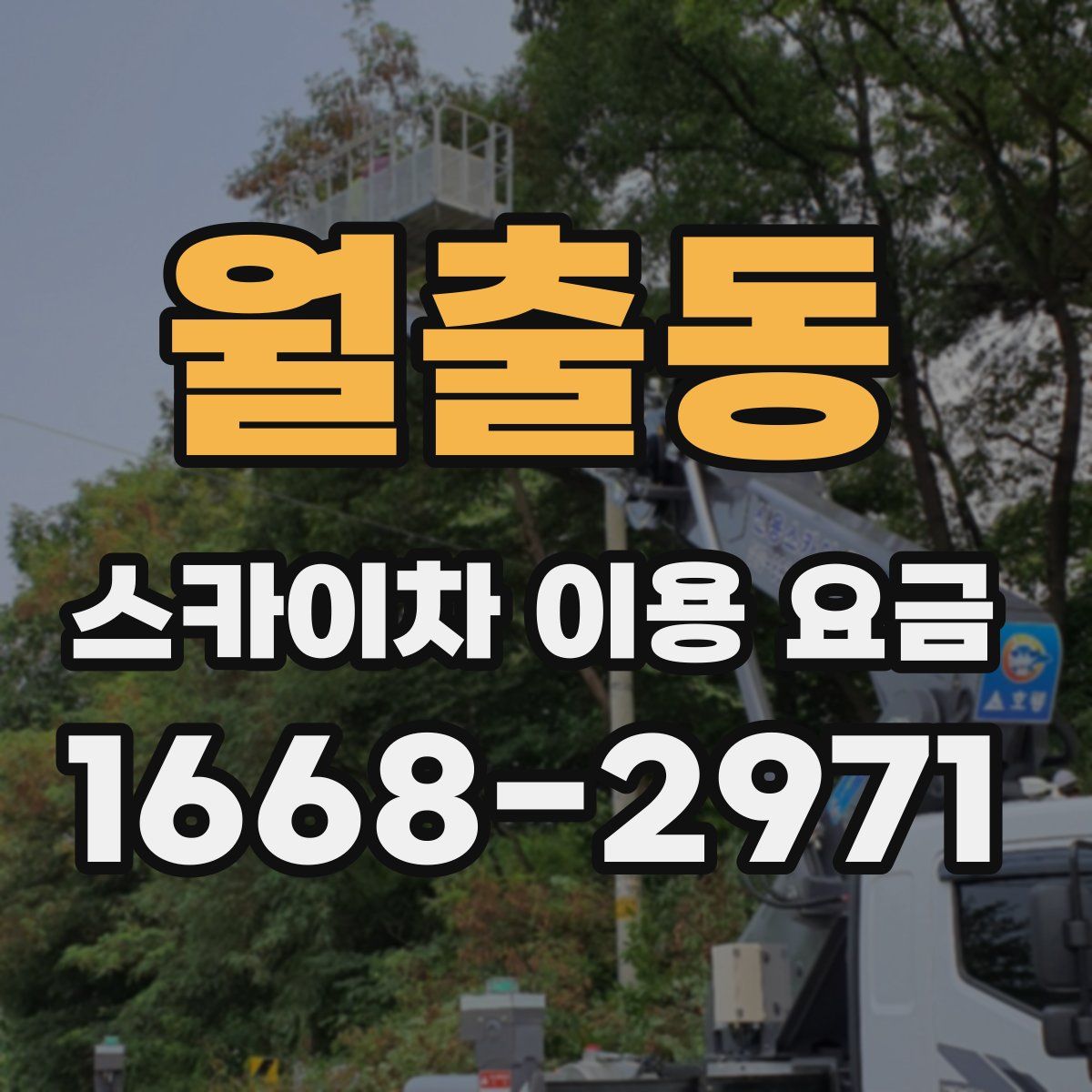 월출동 스카이차 이용 요금
