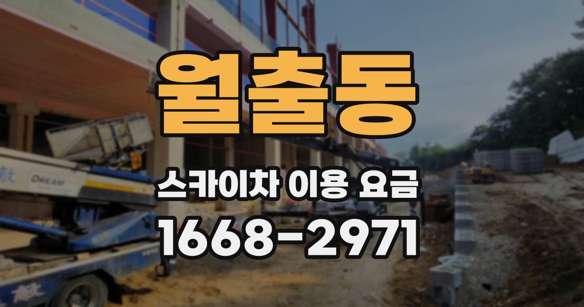 월출동 스카이차 이용 요금