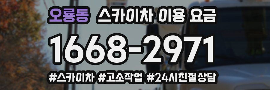 오룡동 스카이차 이용 요금