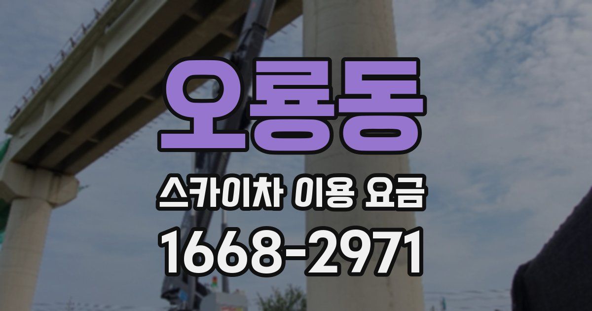 오룡동 스카이차 이용 요금