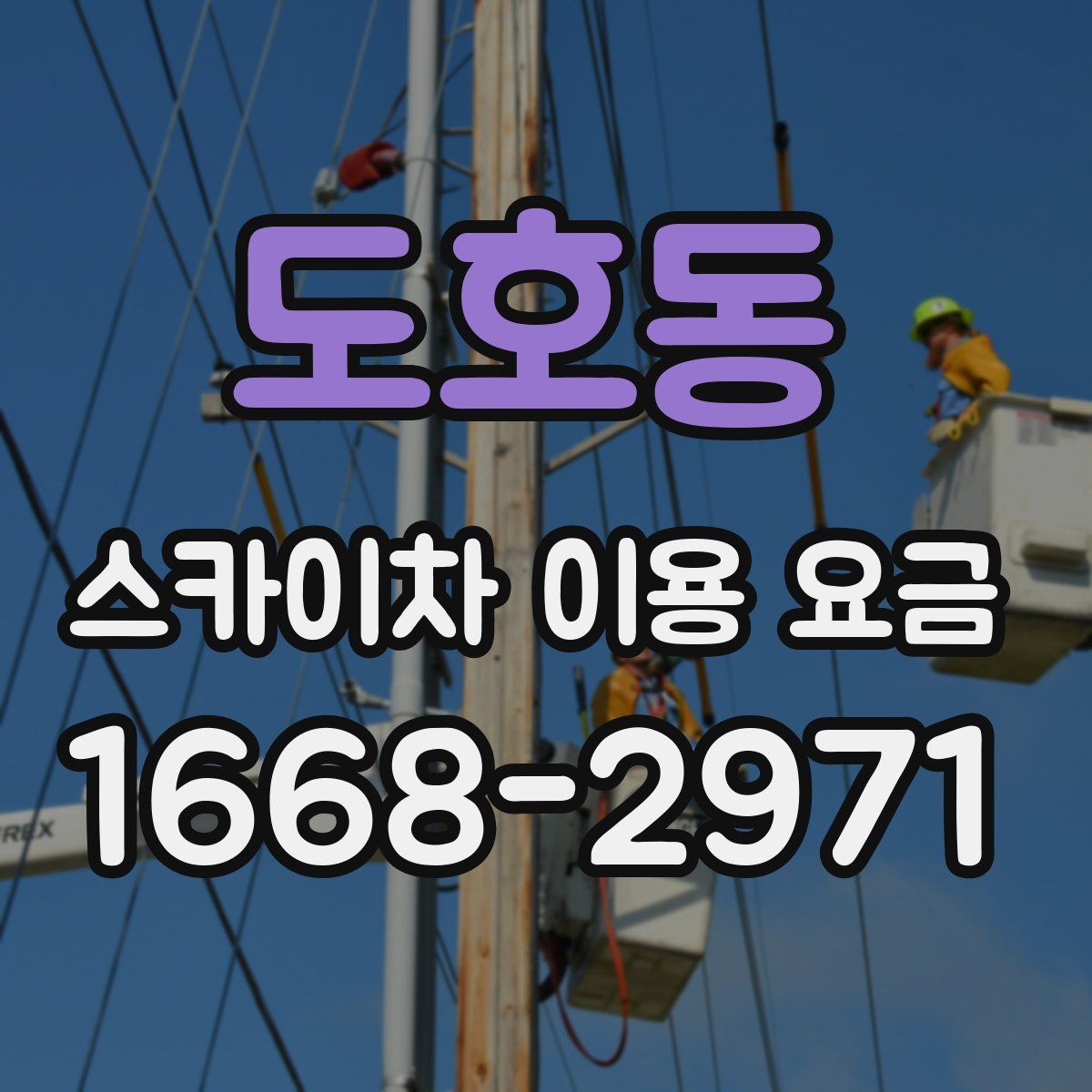 도호동 스카이차 이용 요금