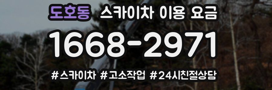 도호동 스카이차 이용 요금