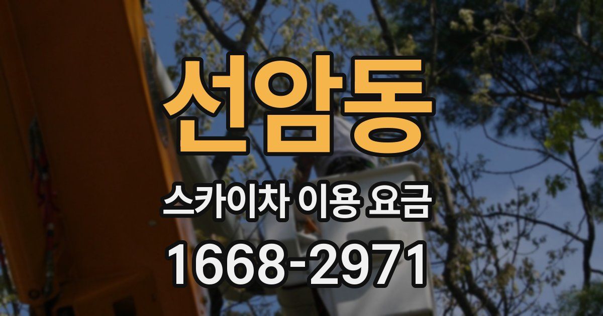 선암동 스카이차 이용 요금