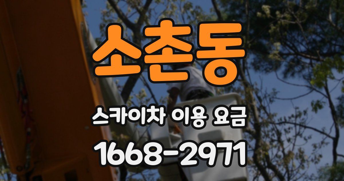 소촌동 스카이차 이용 요금