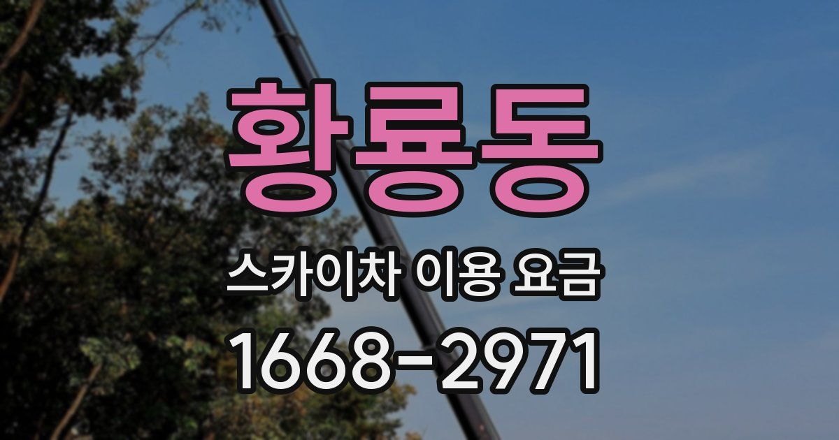 황룡동 스카이차 이용 요금