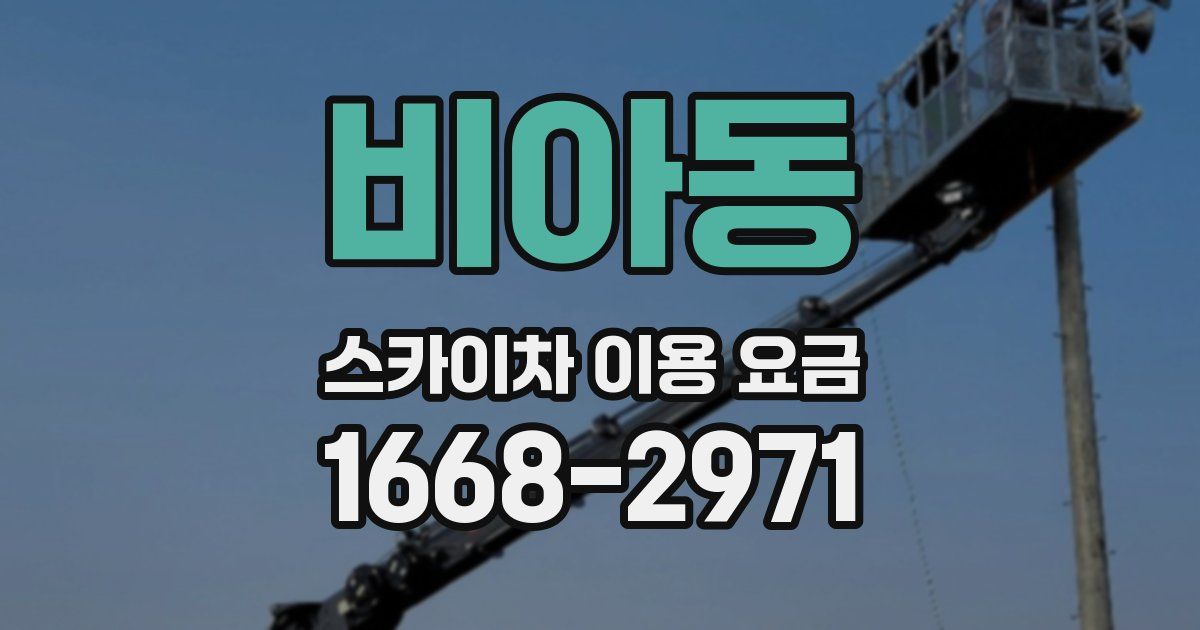 비아동 스카이차 이용 요금
