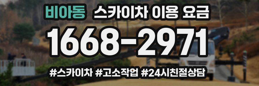 비아동 스카이차 이용 요금