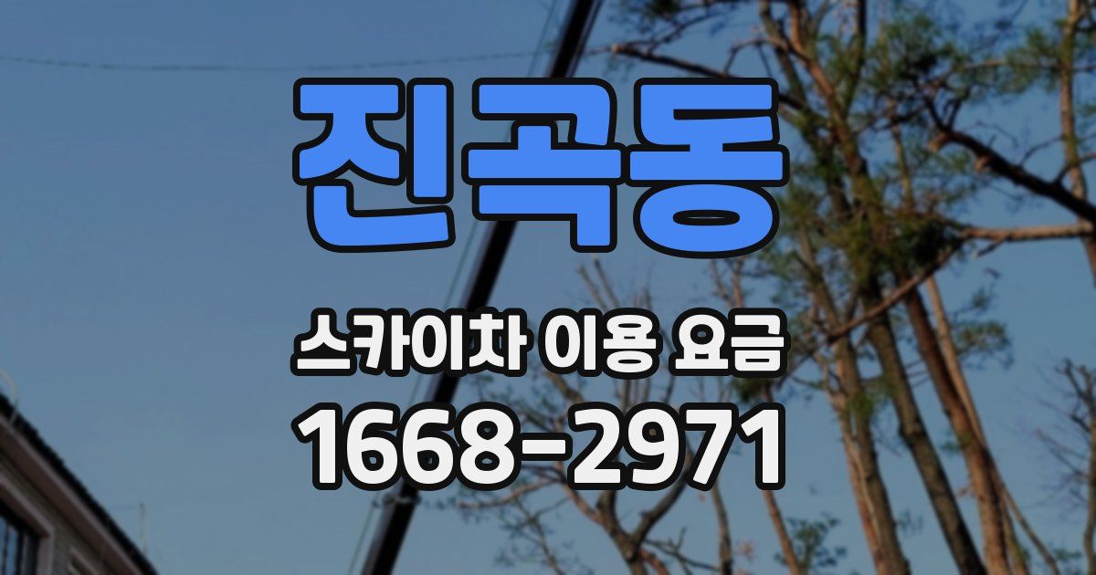 진곡동 스카이차 이용 요금