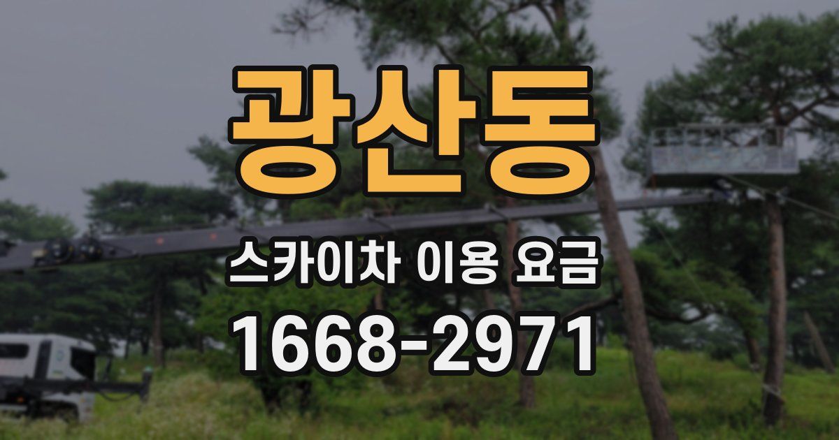 광산동 스카이차 이용 요금