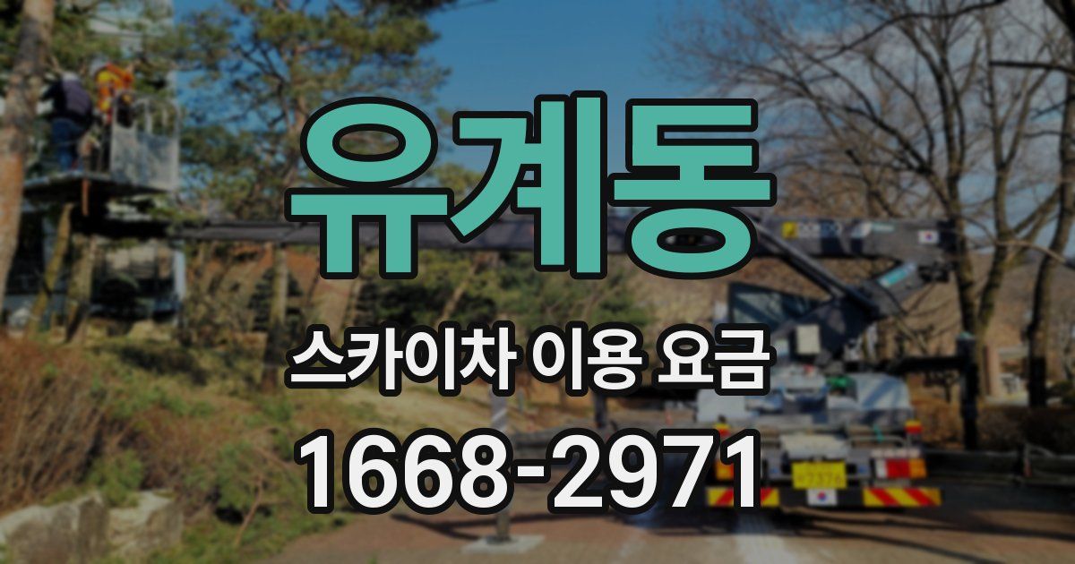 유계동 스카이차 이용 요금