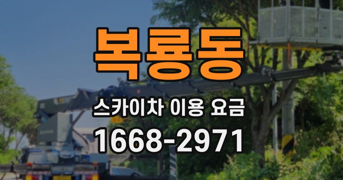 복룡동 스카이차 이용 요금