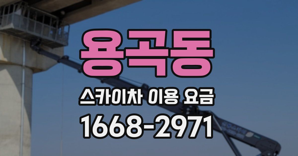 용곡동 스카이차 이용 요금