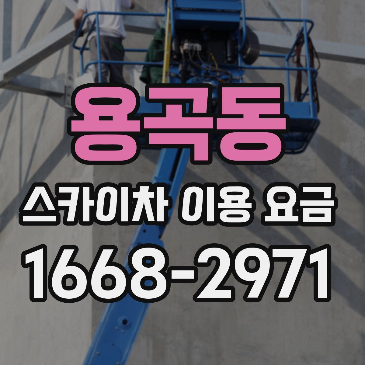 용곡동 스카이차 이용 요금